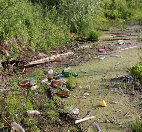 Plastic Bottles Of Beer And Lemonade Thrown Into The Pond Garbage