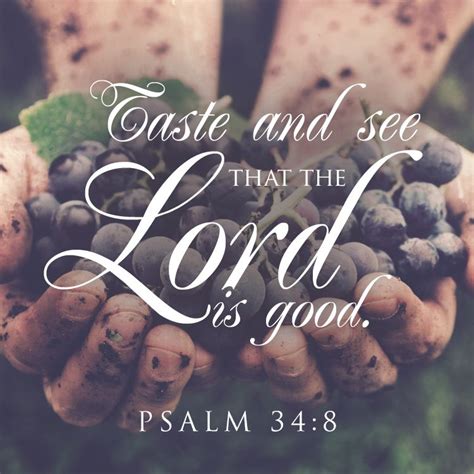 Taste And See That The Lord Is Good Sermonquotes The Lord Is Good Psalms Taste And See