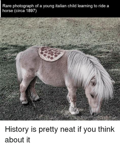 100 Most Funniest Horse Memes Funny Pictures