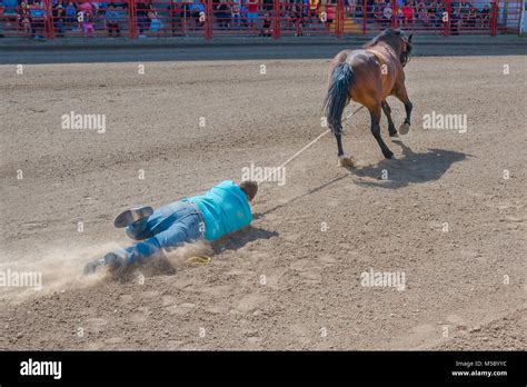 Dragging With A Rope Hi Res Stock Photography And Images Alamy