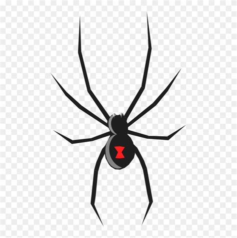 Spider Free To Use Clip Art Black Widow Spider How To Draw Hd Png