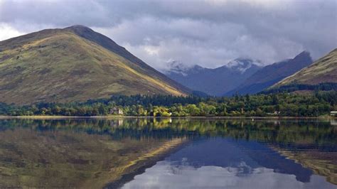 Everything You Need To Know About Loch Fyne Oysters Scotsman Food And