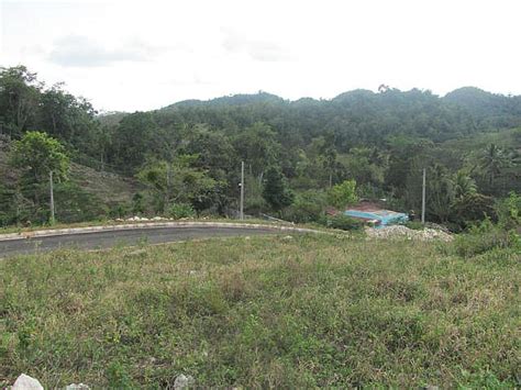 residential lot for sale in mile gully manchester jamaica propertyads jamaica