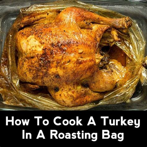 2 to 2 1/2 hours; How To Cook A Turkey In A Roasting Bag - Page 2 ...