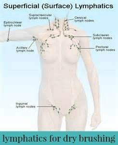 A sentinel lymph node biopsy (slnb) is a a surgeon injects a marker called a radiotracer around the site of the tumor. HOW TO CLEAN A DRY BRUSH | Lymph nodes, Swollen lymph ...
