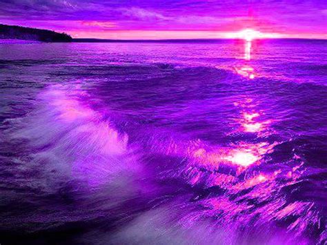 Purple Sea Purple Sunset Sky Pictures Abstract