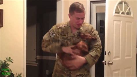 Perros Recibiendo A Soldados De Irak Impresionante¡¡¡¡ Youtube