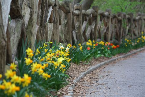 What a beautiful place to visit in the spring! 66 Square Feet (Plus): Central Park now