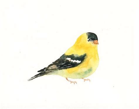 Goldfinch Original Watercolor Painting 10x8inch By Dimdi