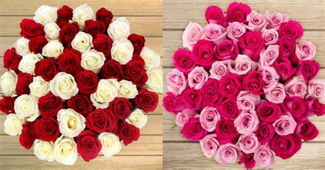 50 Stem Valentines Day Roses Just 5499 Shipped On Pre