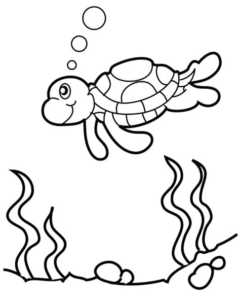 Do you know the symbolic meaning of turtle tattoos? Turtle Shell Pattern Drawing | Free download on ClipArtMag