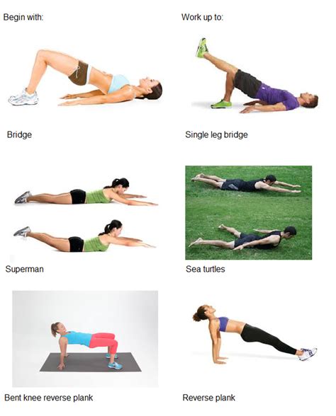Muscle Exercises Lower Back Muscle Exercises At Home