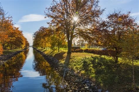 무료 이미지 경치 나무 자연 햇빛 아침 잎 꽃 호수 강 운하 못 반사 풍경화 가을 공원 시즌
