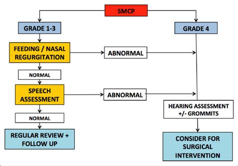 Submucous Cleft Palate Smcp Care Pathway In First 4 Years Of Age