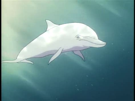 Dolphin The Gundam Wiki Fandom Powered By Wikia