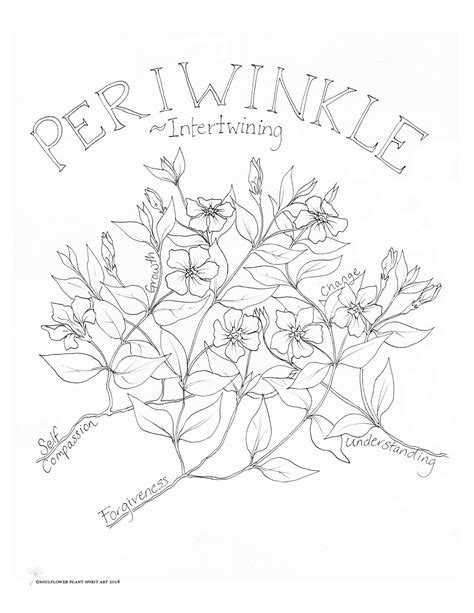 Periwinkle Coloring Pages At Getcolorings Free Printable