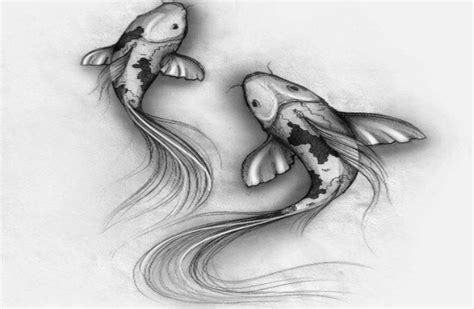 Download Sketsa Gambar Ikan Koi dan Terapkan 6 Tips Ini