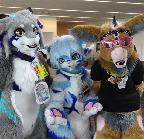 The Furries Of Hong Kong Men And Women Who Dress Up As Animals And