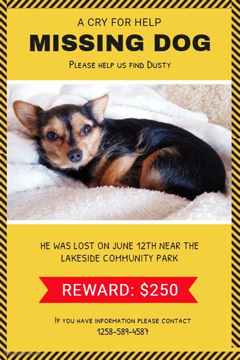 Missing Pet Poster Yellow