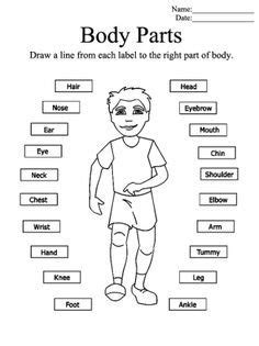 Body parts worksheets are great for children learning the names for parts of the body. Parts of the Body Printable Worksheets. Give a like ...