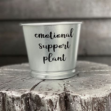 Emotional Support Plant /silver Galvanized Metal Indoor | Etsy