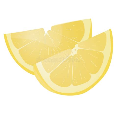 Fresh Lemon Fruits Lemon Vector Illustration Set Whole Cut In Half