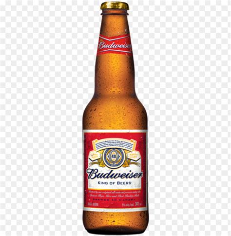 Budweiser Bottle Png Budweiser Beer Bottle PNG Transparent With Clear