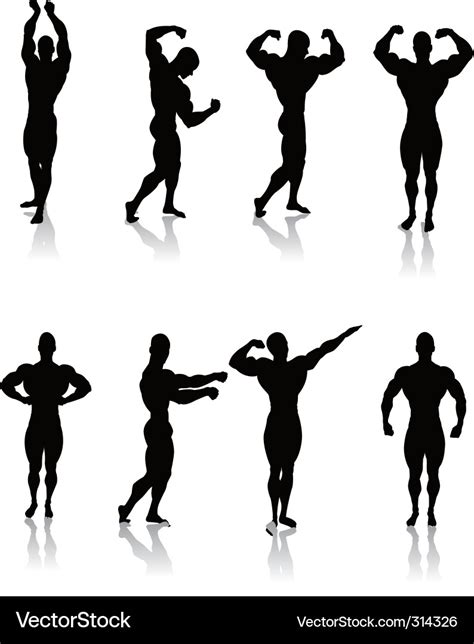 Classic Bodybuilding Poses Royalty Free Vector Image