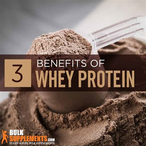 Whey Protein Benefits How To Use It