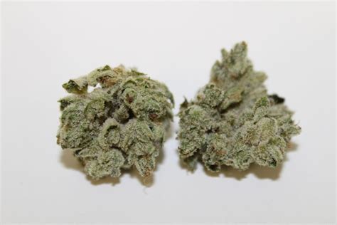 Learn About Gorilla Glue Strain Review Respect My Region