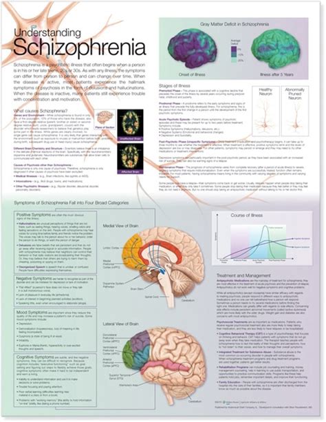 Anatomy Charts Posters Understanding Schizophrenia Anatomical Chart