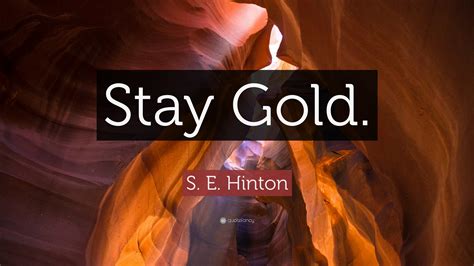Maybe you would like to learn more about one of these? S. E. Hinton Quote: "Stay Gold." (9 wallpapers) - Quotefancy