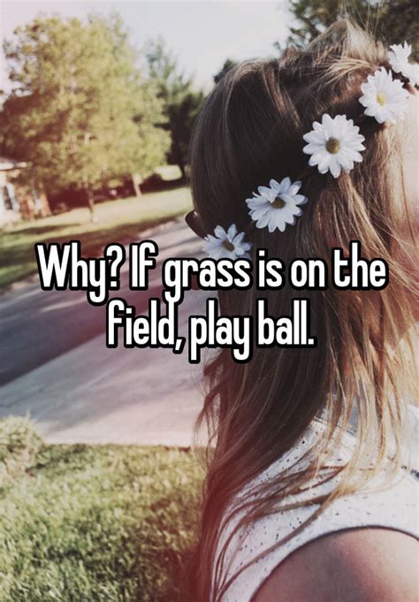 Why If Grass Is On The Field Play Ball