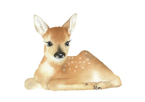Baby flower crown deer, floral fawn, woodland nursery, nursery print, deer illustration, nursery design, animal painting, watercolor animal. Baby Deer Watercolor Painting by Zapista OU