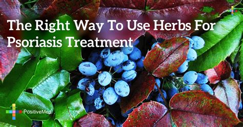 The Right Way To Use Herbs For Psoriasis Treatment Positivemed