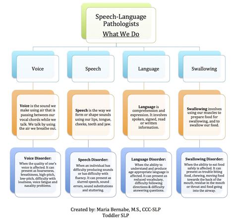 The Roles Of A Speech Language Pathologist Speech Language