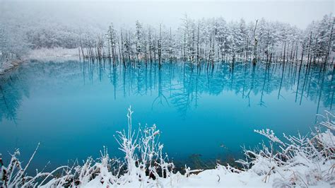 Free Download Hd Wallpaper Winter Lake Beauty Tale Japan Photo