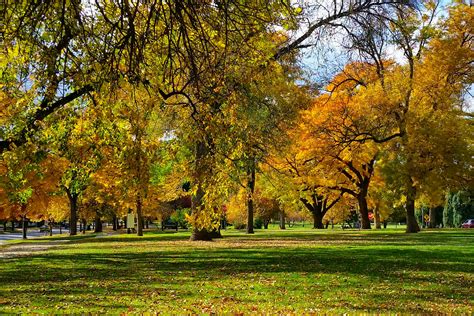3 Great Spots To See The Fall Colors In Denver Be A