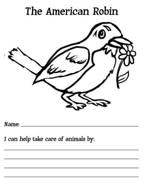 It's very likely that you've seen one in your backyard. The American Robin Bird Coloring Page - Download & Print ...