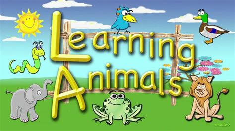 Learning Animals