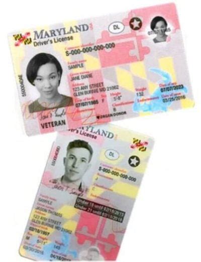 Maryland Drivers License Renewal How To Apply