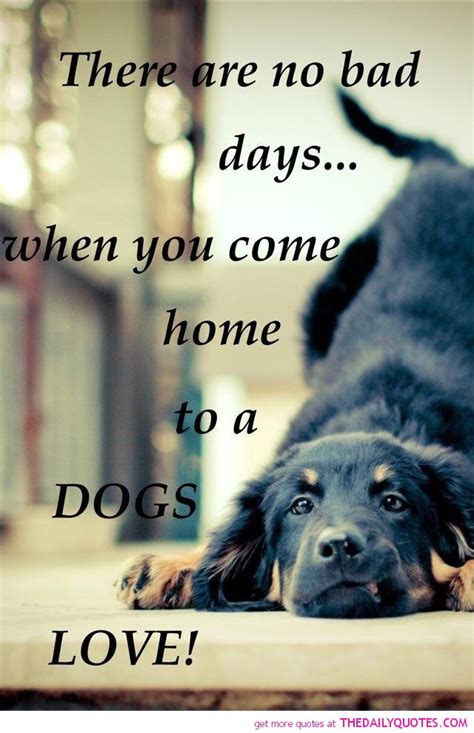 Famous Dog Quotes Love Quotesgram