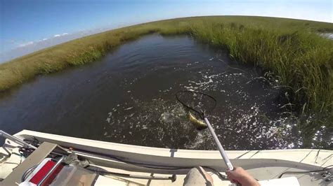 Biloxi Marsh Louisiana Catching Redfish On Spinnerbait Youtube