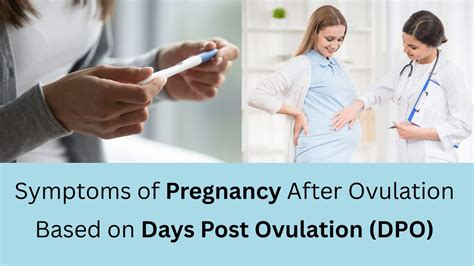 Early Pregnancy Symptoms After Ovulation Day By Daydpo Sprint Medical