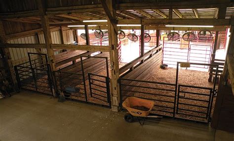 How to fit & groom show cattle? Show Barn Showcase | Horn Livestock | Cattle barn, Horse ...