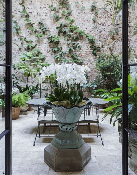 Among The Orchids Designer Rose Uniacke At Home In London Gardenista