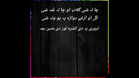 Pashto Funny Poetry Shortstatus Pashtopoetry