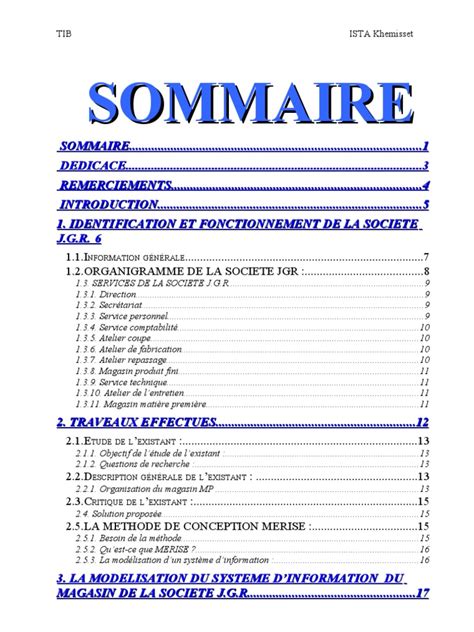 Rapport De Stage Model