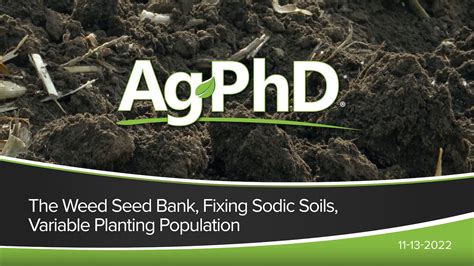 The Weed Seed Bank Fixing Sodic Soils Variable Planting Population