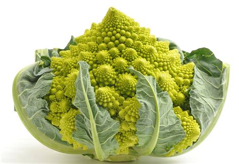 What Is The Shape Of The Romanesco Cauliflower Techzle